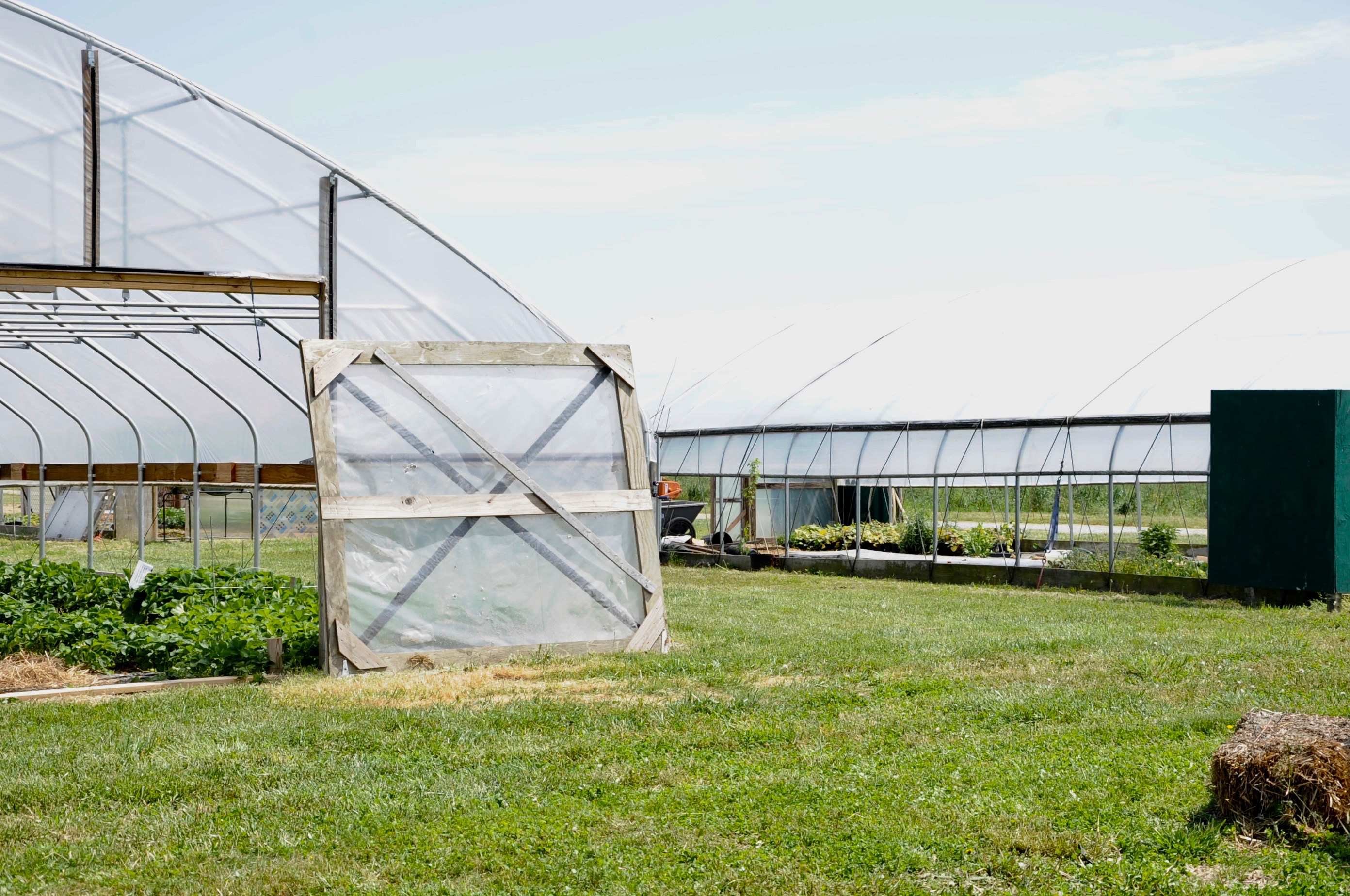 High tunnels at DSU's Outreach and Research Center in Smyrna, Delaware are used to showcase the benefits of extending the growing season for crops.