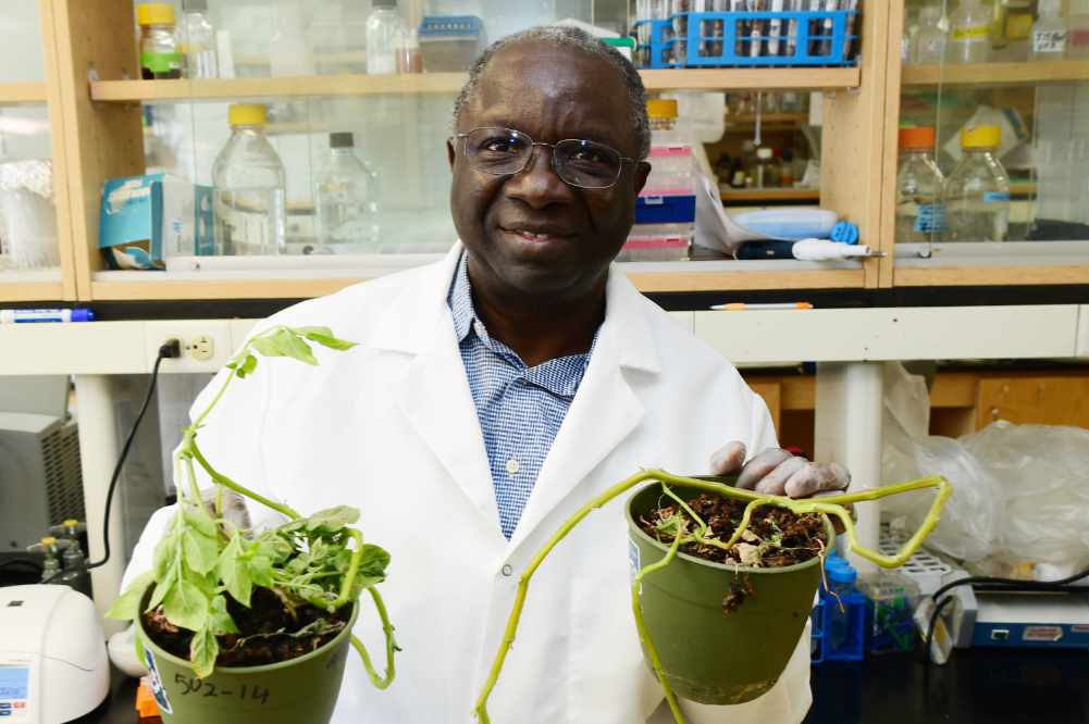 Dr. Vincent Fondong awarded $1.13 million research grant