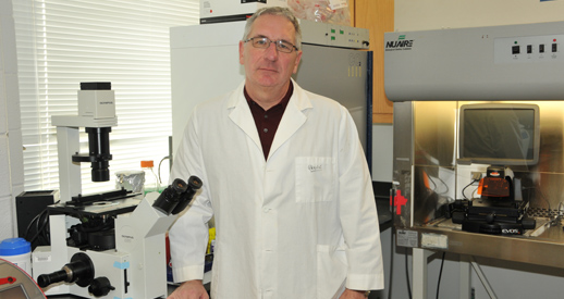 DSU's Dr. Eric Kmiec Named INBRE Program Director of Research